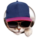 A relaxed looking cat with sun glasses and cap